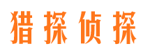 龙华市调查公司